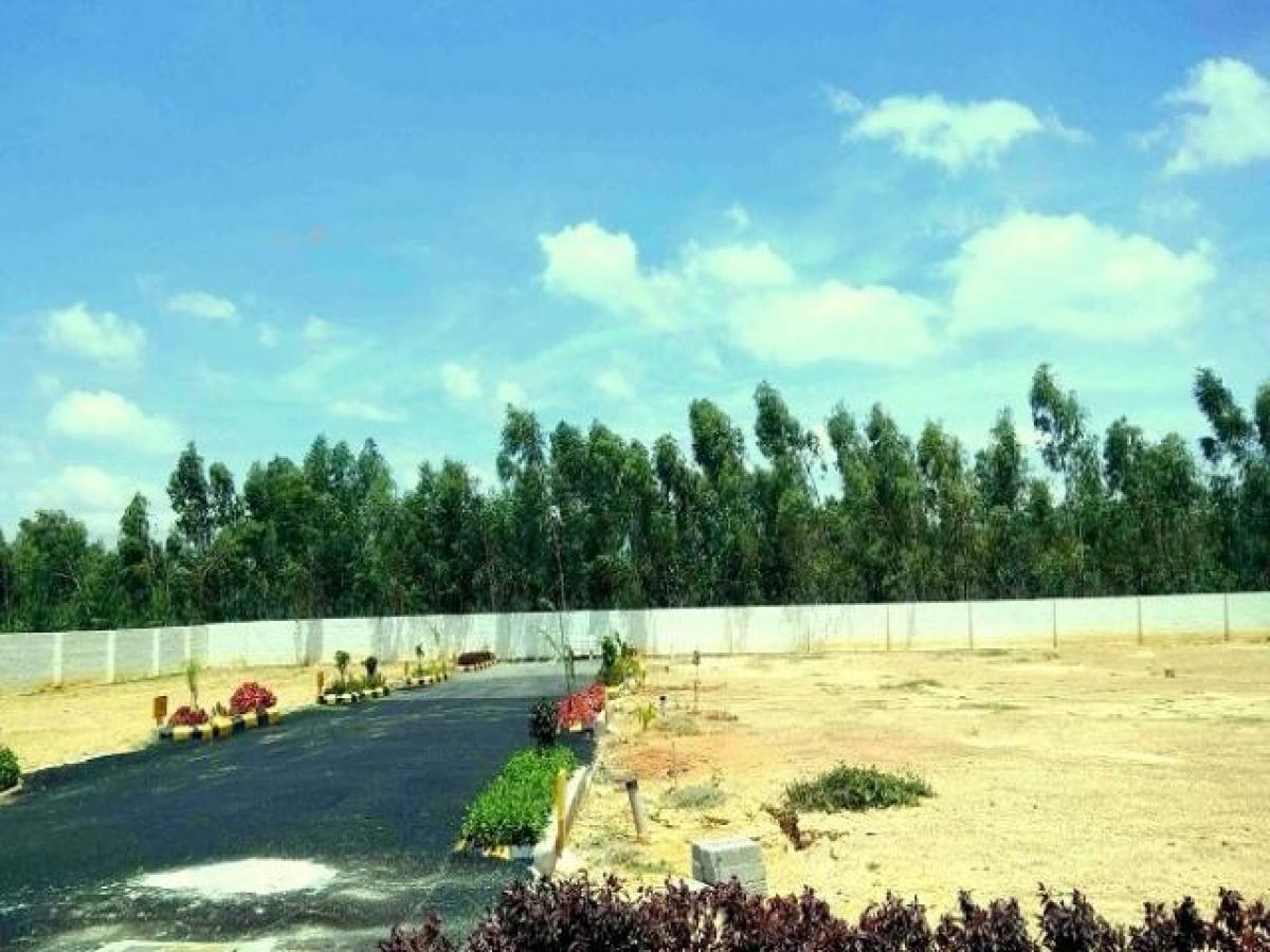 Terrain à Bangalore, India No. 39964