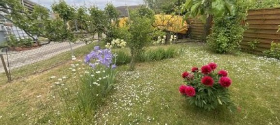 2 bedrooms Townhouse in Vorpommern-Greifswald, Germany No. 154117 29