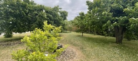 2 bedrooms Townhouse in Vorpommern-Greifswald, Germany No. 154117 32