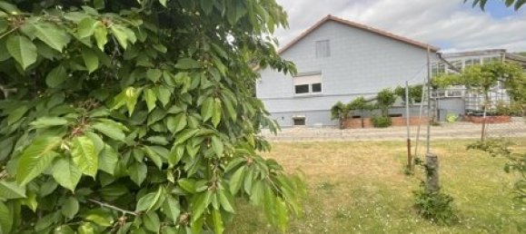 2 bedrooms Townhouse in Vorpommern-Greifswald, Germany No. 154117 15