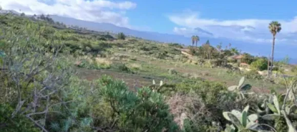  قطعة أرض في Tacoronte, Spain رقم 129602 3