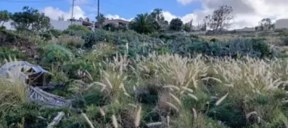  قطعة أرض في Tacoronte, Spain رقم 129602 4