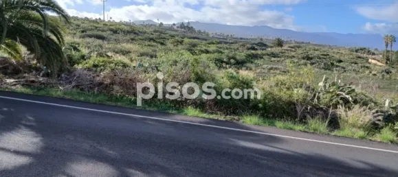  قطعة أرض في Tacoronte, Spain رقم 129602 2