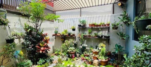 3 bedrooms House in San Jose, Costa Rica No. 1163 3