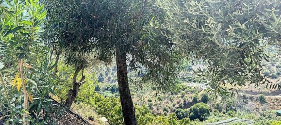 4 bedrooms Villa in Frigiliana, Spain No. 56408 49