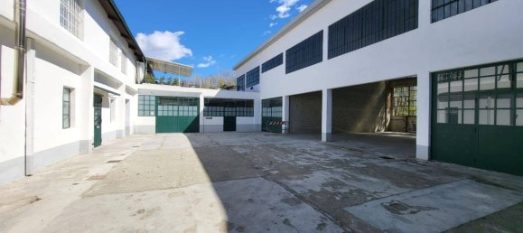 Lagerhaus in Pianezza, Italy 500m², Nr. 55492 17