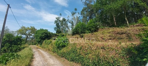 3550m² Land in Amarante, Portugal No. 56662 9