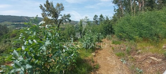 3550m² Land in Amarante, Portugal No. 56662 13