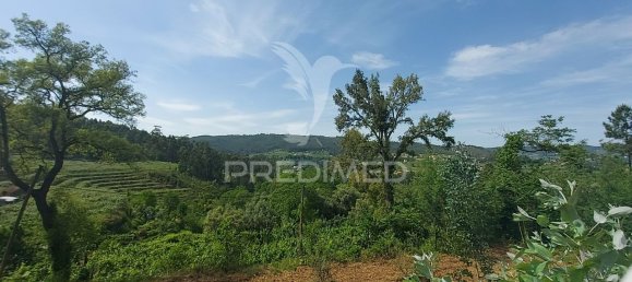 3550m² Land in Amarante, Portugal No. 56662 14