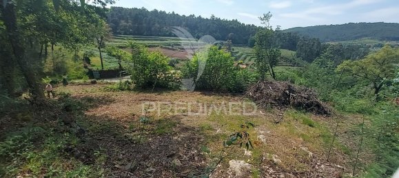 3550m² Land in Amarante, Portugal No. 56662 12