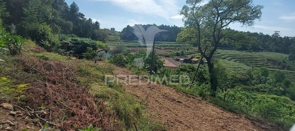 3550m² Land in Amarante, Portugal No. 56662 5