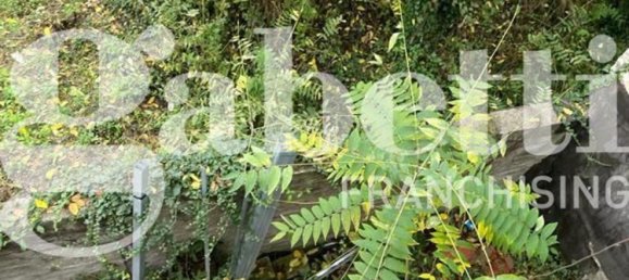 Дом с 5 комнатами в Санти Козма э Дамьяно, Италия № 47778 7