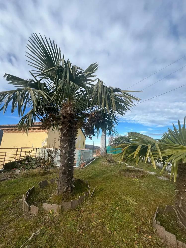 5 rooms House in Santa Margherita di Staffora, Italy No. 177675