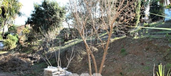 6 bedrooms House in Benajarafe, Spain No. 56823 104