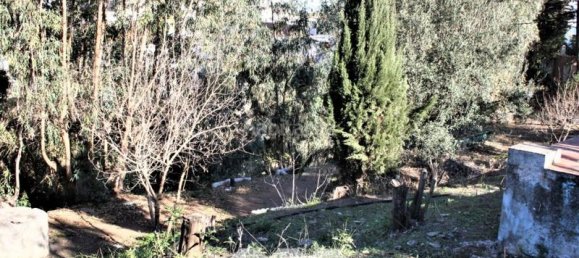 6 bedrooms House in Benajarafe, Spain No. 56823 124