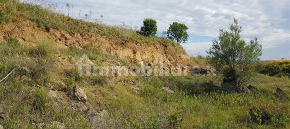 Terrain à Tarquinia, Italy 80000m² No. 343792 16