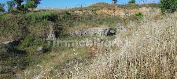 Terrain à Tarquinia, Italy 80000m² No. 343792 3