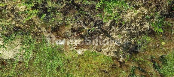 Terrain à Tarquinia, Italy 80000m² No. 343792 12