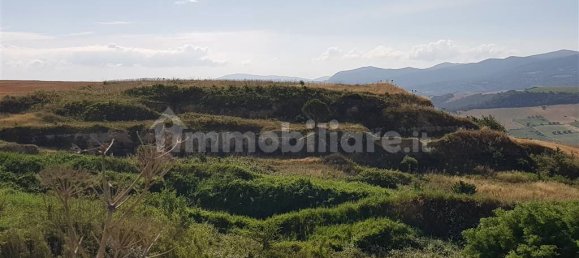 Terrain à Tarquinia, Italy 80000m² No. 343792 13