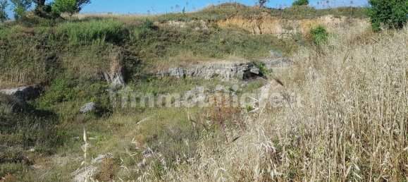Terrain à Tarquinia, Italy 80000m² No. 343792 6