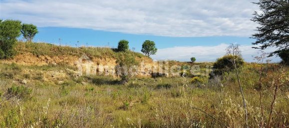 Terrain à Tarquinia, Italy 80000m² No. 343792 5