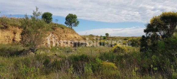Terrain à Tarquinia, Italy 80000m² No. 343792 15