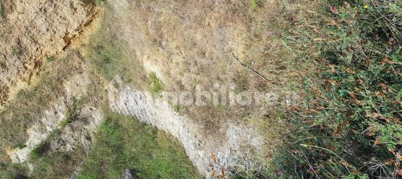 Terrain à Tarquinia, Italy 80000m² No. 343792 17