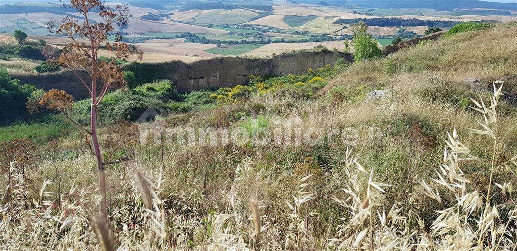 Terrain à Tarquinia, Italy 80000m² No. 343792
