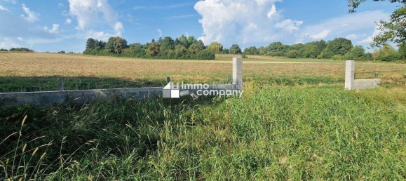 Terreno en Mannersdorf an der Rabnitz, Austria No. 10129 4