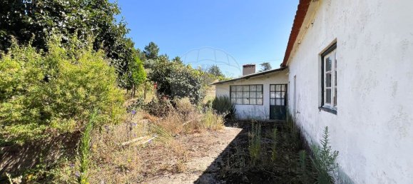 3 Schlafzimmer Haus in Tomar, Portugal, Nr. 20844 21