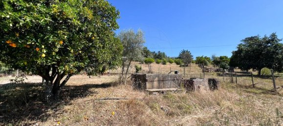 3 Schlafzimmer Haus in Tomar, Portugal, Nr. 20844 28
