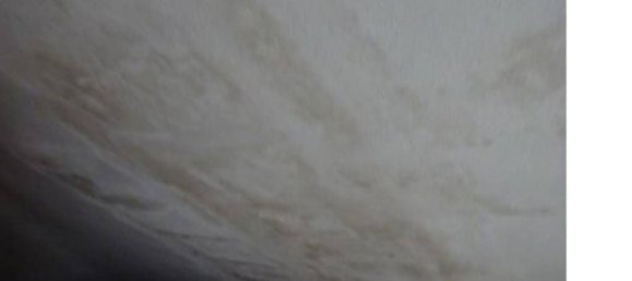 6-salle Maison à Cesena, Italy No. 98843 7