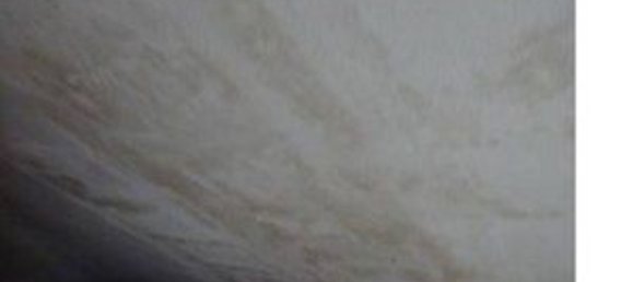 6-salle Maison à Cesena, Italy No. 98843 15