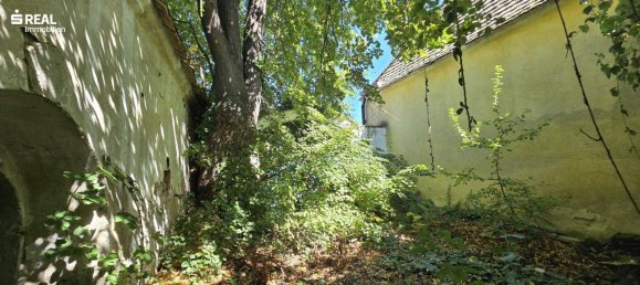 5غرفة منزل في Schrattenthal, Austria رقم 251424 30