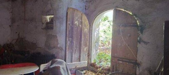 5غرفة منزل في Schrattenthal, Austria رقم 251424 35