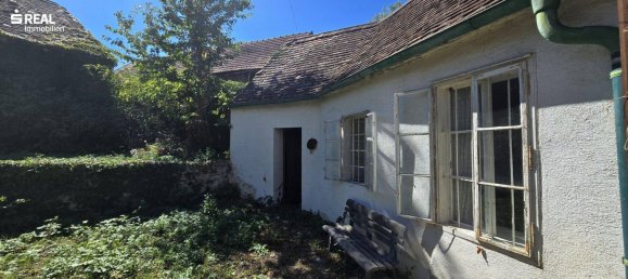 5غرفة منزل في Schrattenthal, Austria رقم 251424 38