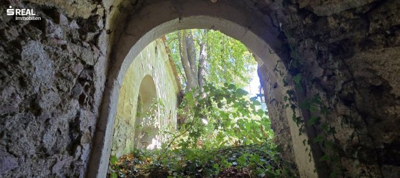 5غرفة منزل في Schrattenthal, Austria رقم 251424 32