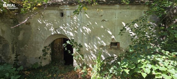 5غرفة منزل في Schrattenthal, Austria رقم 251424 31