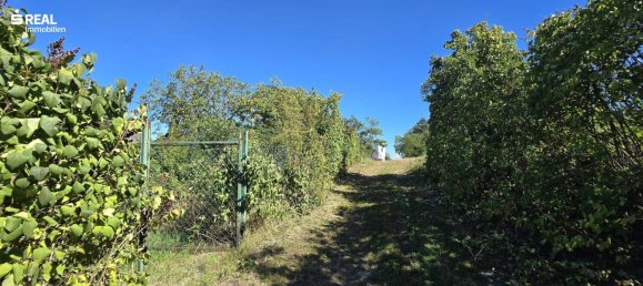 5غرفة منزل في Schrattenthal, Austria رقم 251424 46