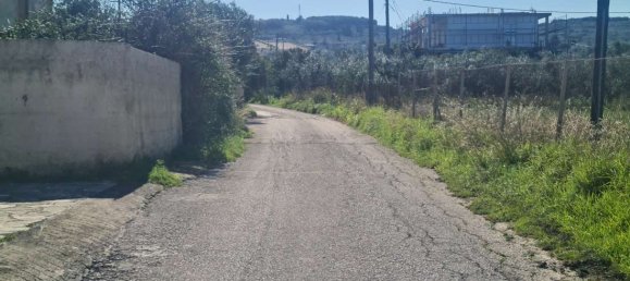  Hotel in Zakynthos, Greece No. 8952 16