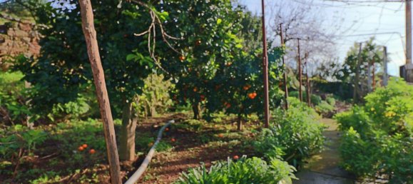 3 Schlafzimmer Haus in Maia, Portugal, Nr. 189135 5