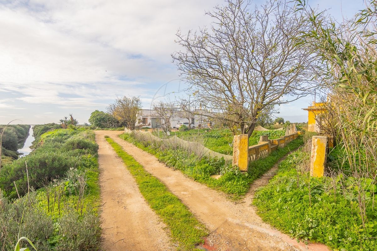 4 Schlafzimmer Schlösser in Pechao, Portugal, Nr. 23273