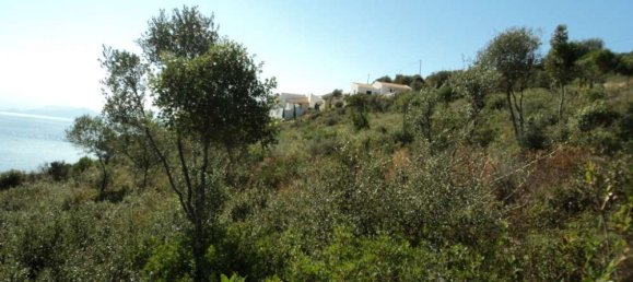 Grundstück in Thesprotia, Greece, Nr. 820 6