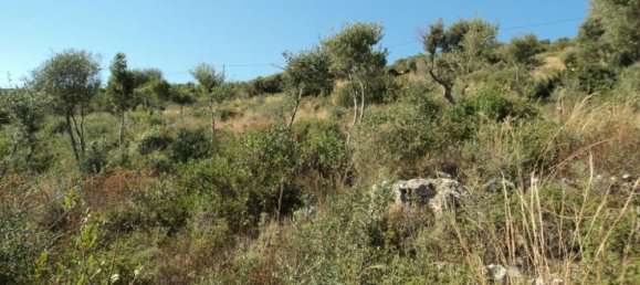 Grundstück in Thesprotia, Greece, Nr. 820 7