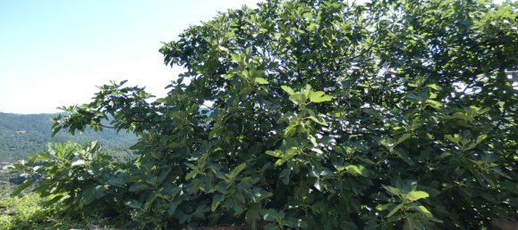 2 bedrooms Apartment in Carro, Italy No. 268182 21