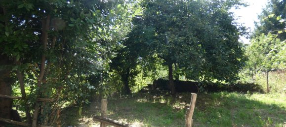 2 bedrooms Apartment in Carro, Italy No. 268182 6