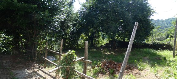 2 bedrooms Apartment in Carro, Italy No. 268182 13