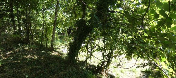 2 bedrooms Apartment in Carro, Italy No. 268182 9