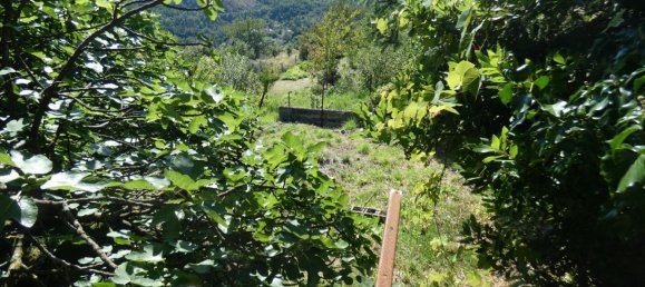 2 bedrooms Apartment in Carro, Italy No. 268182 15