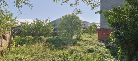 3 Schlafzimmer Haus in Soure, Portugal, Nr. 313956 26